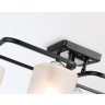 Потолочный светильник Ambrella light TR303222