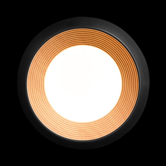 Потолочный светильник LOFT IT Folk 10255/350 Black