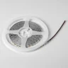 Лента LED 24V 5W 5m/roll 4000K без клейкой ленты Lightstar 420544-02