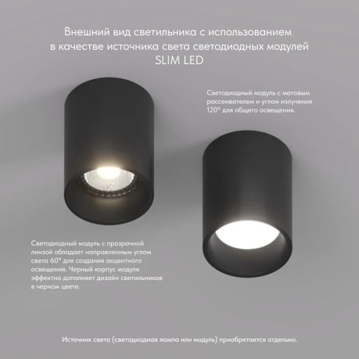 Накладной светильник Denkirs NEAT DK3110-BK