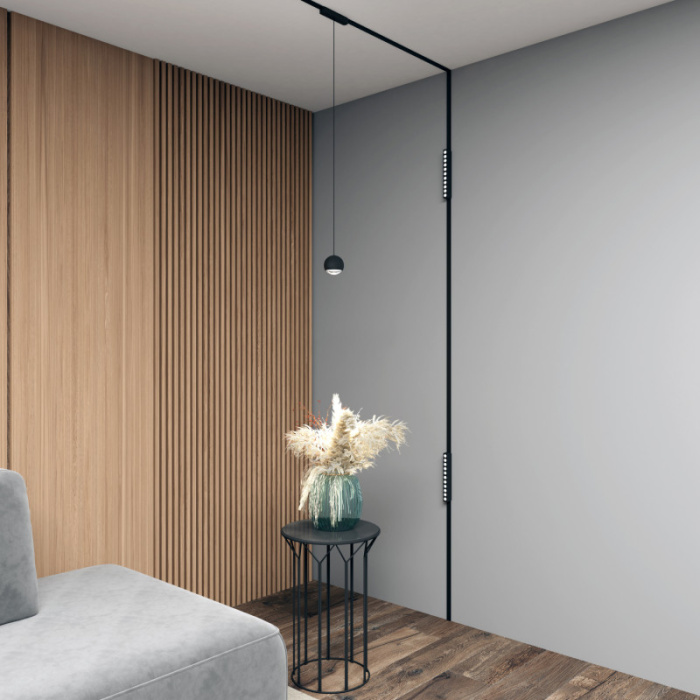 Светильник на шине Denkirs AIR HANG DK5346-BK