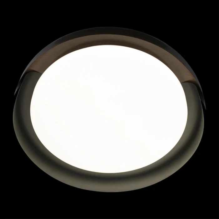Потолочный светильник Loft it Coin 10198 Black