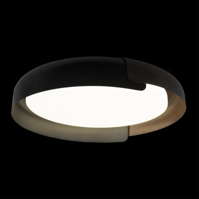 Потолочный светильник Loft it Coin 10198 Black