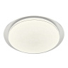 Потолочный светодиодный светильник Ambrella light FZ1048