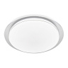 Потолочный светодиодный светильник Ambrella light FZ1048