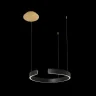 Подвесной светильник Loft it Ring 10025/400 Black