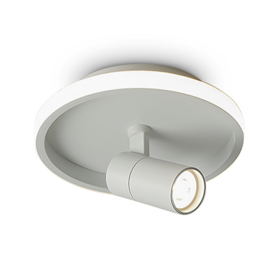 Потолочный светильник Freya FR6040CL-L14W
