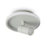 Потолочный светильник Freya FR6040CL-L14W