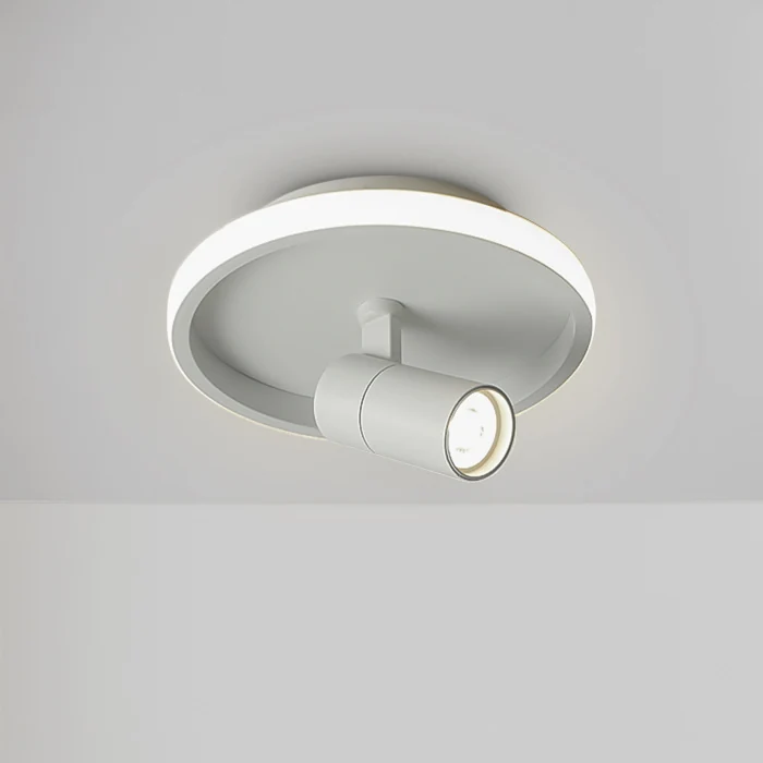 Потолочный светильник Freya FR6040CL-L14W