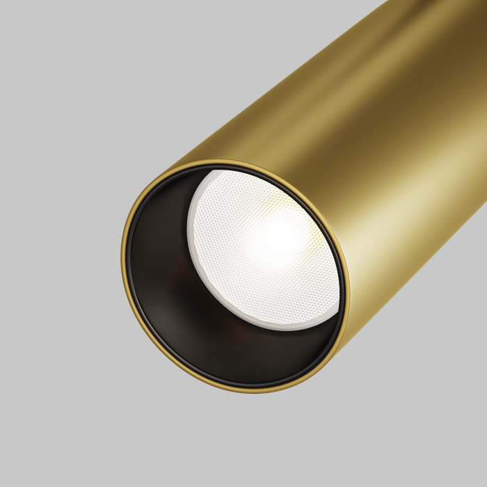 Трековый светильник Maytoni Focus LED TR032-2-12W4K-S-MG