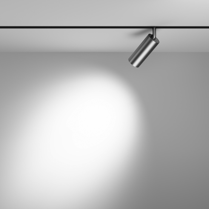 Трековый светильник Maytoni Focus LED TR032-2-12W4K-S-MG
