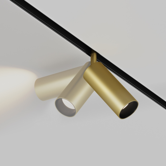 Трековый светильник Maytoni Focus LED TR032-2-12W4K-S-MG