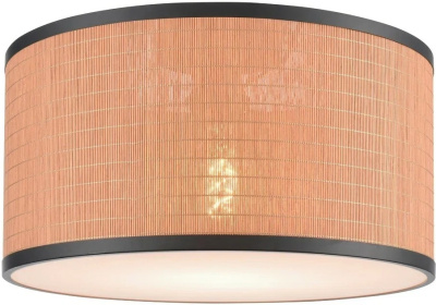 Потолочный светильник VELANTE 568-707-01