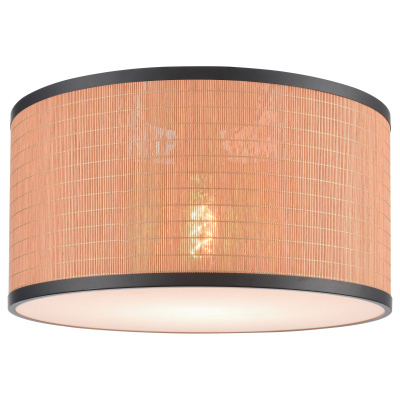 Потолочный светильник VELANTE 568-707-01