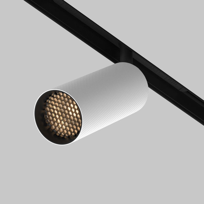 Трековый светильник Maytoni Artisan TR097-2-12W3K-M-BW