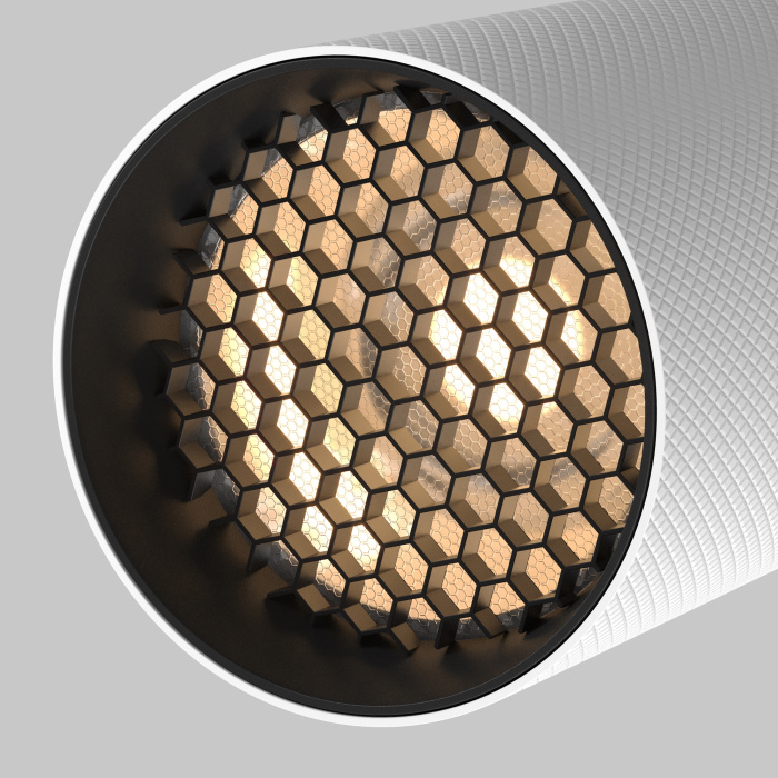 Трековый светильник Maytoni Artisan TR097-2-12W3K-M-BW