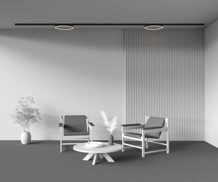 Трековый светильник Maytoni Rim TR227-2-24W4K-B