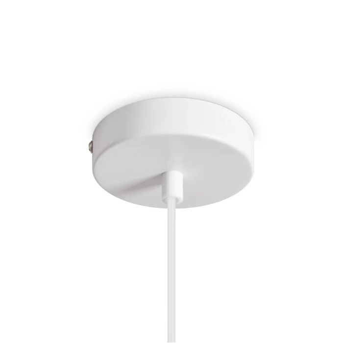 Подвесной светильник Freya Shapes FR5530PL-01W