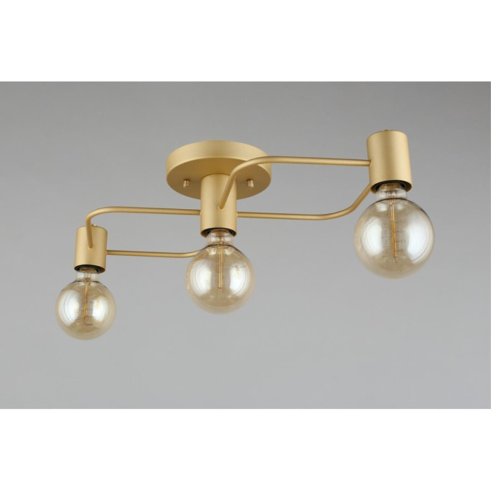 Потолочный светильник Aployt Elison APL.911.07.03