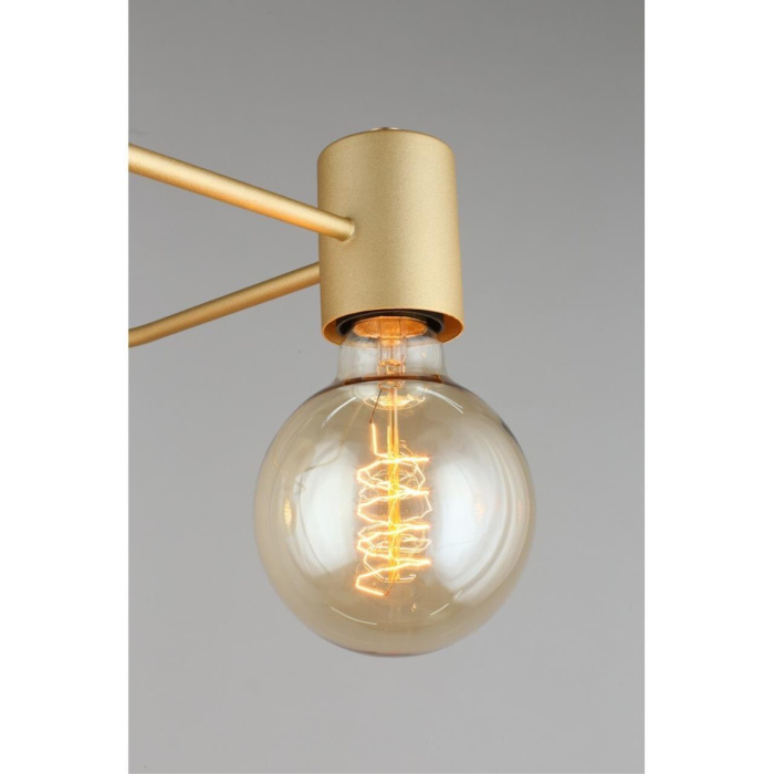 Потолочный светильник Aployt Elison APL.911.07.03