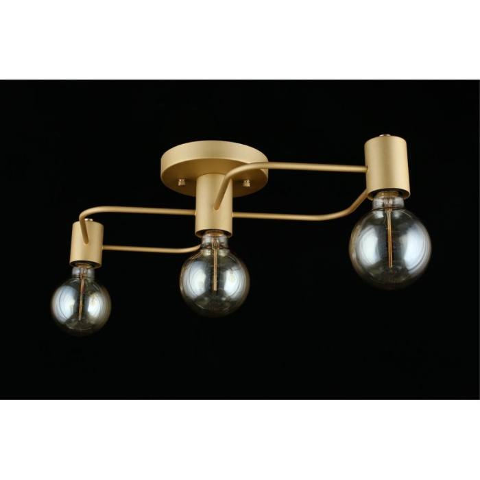 Потолочный светильник Aployt Elison APL.911.07.03