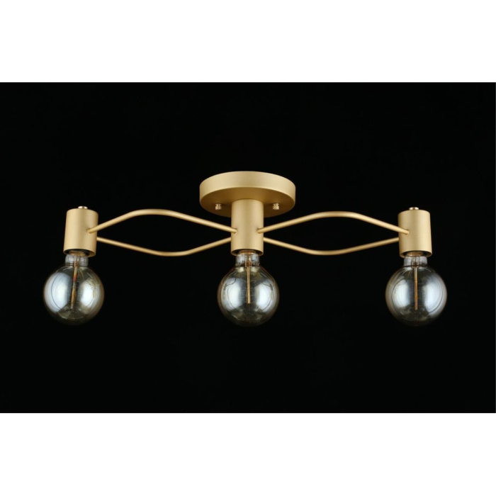 Потолочный светильник Aployt Elison APL.911.07.03