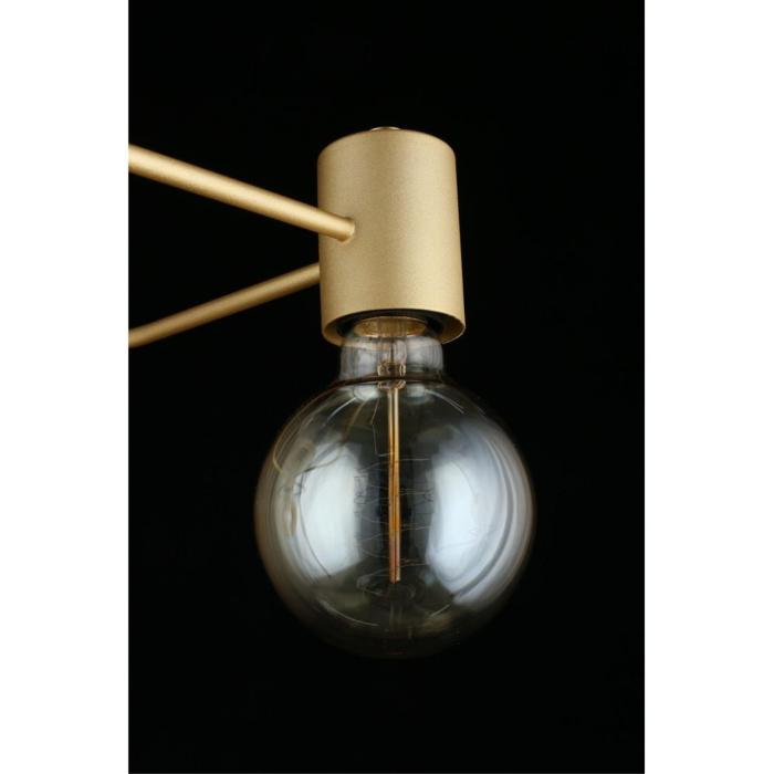 Потолочный светильник Aployt Elison APL.911.07.03