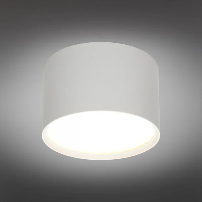 Светильник накладной Omnilux Abano OML-103309-06