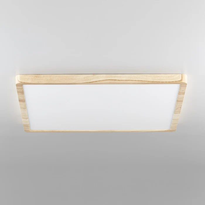 Светильник потолочный Citilux Бейсик CL738K502V