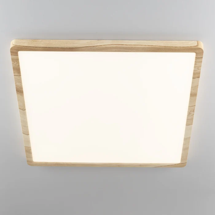 Светильник накладной Citilux Бейсик CL738K502V