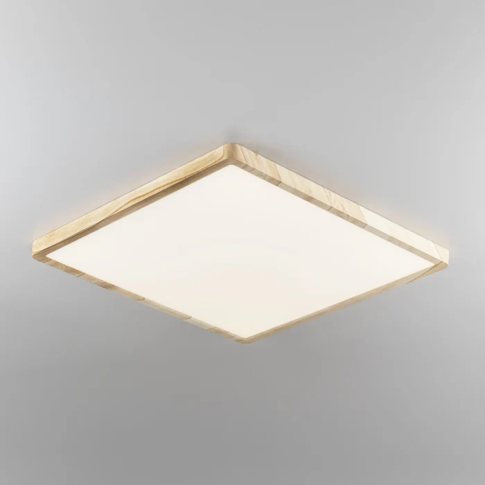 Светильник накладной Citilux Бейсик CL738K502V