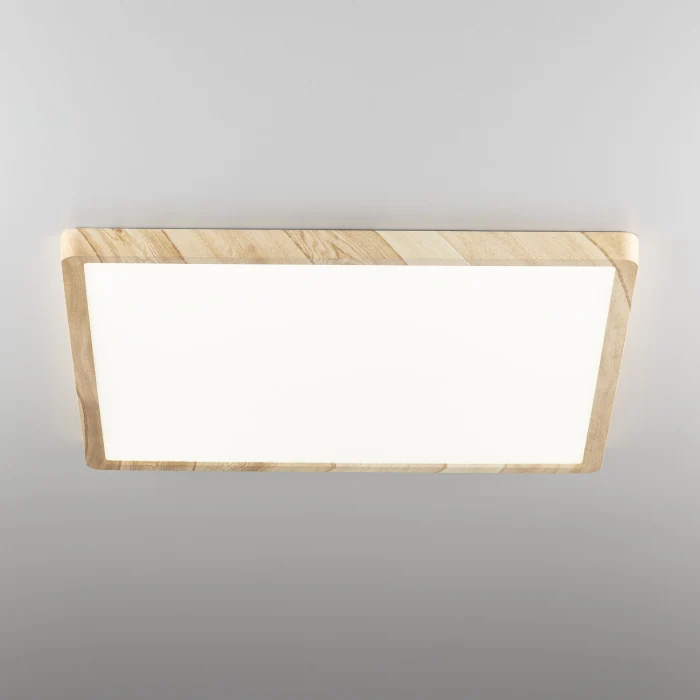 Светильник накладной Citilux Бейсик CL738K502V