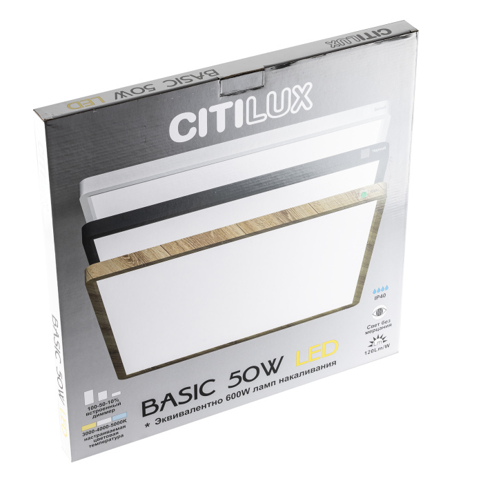 Светильник накладной Citilux Бейсик CL738K502V