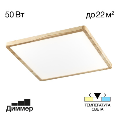 Светильник потолочный Citilux Бейсик CL738K502V