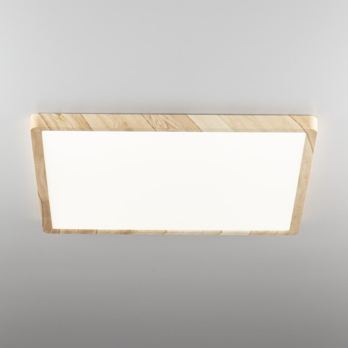 Светильник потолочный Citilux Бейсик CL738K502V