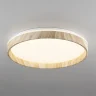 Потолочный светильник Citilux Enzo CL753452G