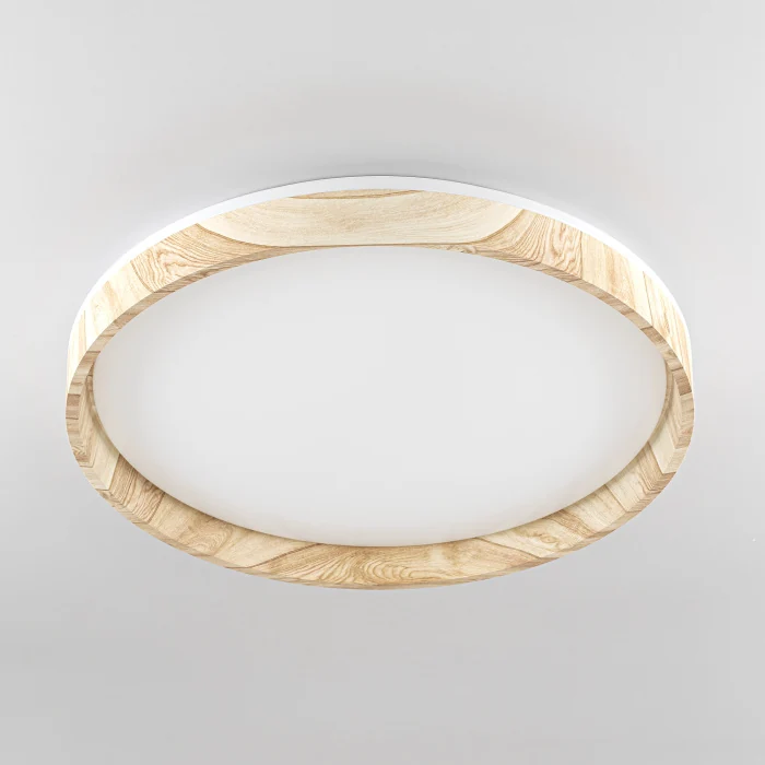 Светильник потолочный Citilux ENZO CL753452G