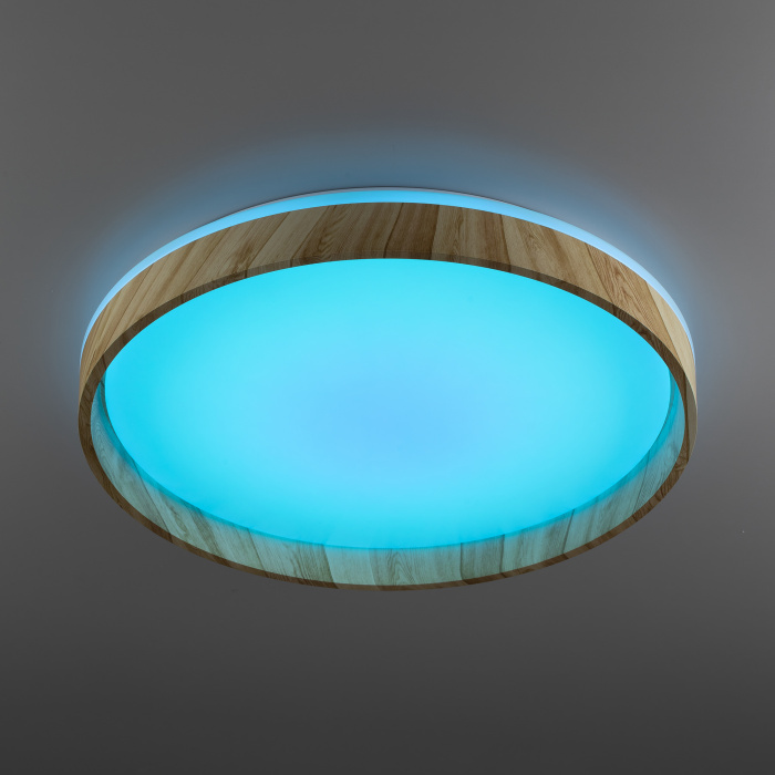 Светильник потолочный Citilux ENZO CL753452G