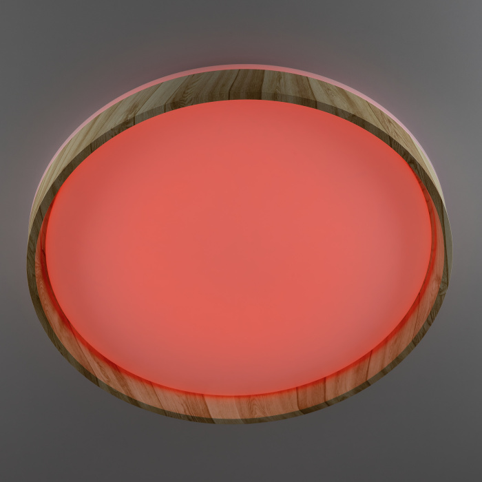 Светильник потолочный Citilux ENZO CL753452G