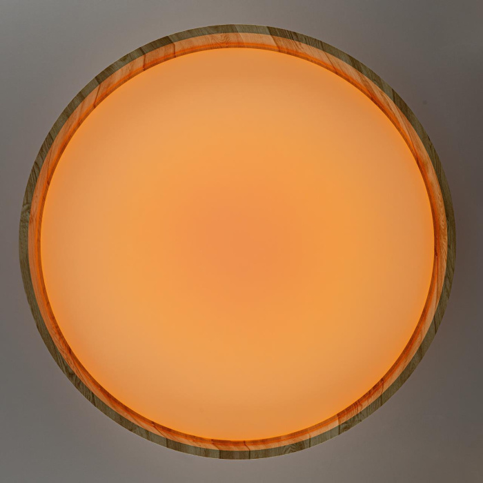 Потолочный светильник Citilux Enzo CL753452G