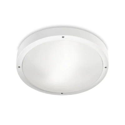 Потолочный светильник Leds C4 15-9493-14-M1