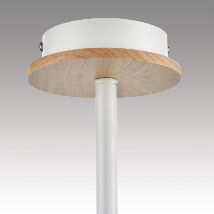 Люстра потолочная Lumion Irma 8246/5C