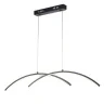 Подвесной светильник Escada Skyline 10212/S LED Black