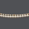 Лента LED 24V 5W 5m/roll 4000K с клейкой лентой Lightstar 420544-01