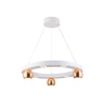 Подвесной светодиодный светильник Ambrella light FL5959