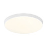 Потолочный светодиодный светильник Ambrella light FZ1220