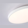 Потолочный светодиодный светильник Ambrella light FZ1220