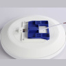 Потолочный светодиодный светильник Ambrella light FZ1220