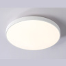 Потолочный светодиодный светильник Ambrella light FZ1220