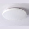 Потолочный светодиодный светильник Ambrella light FZ1220